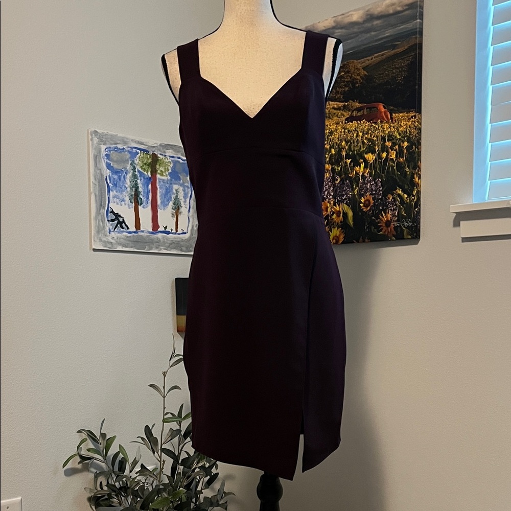 Amanda Uprichard Bodycon Dress